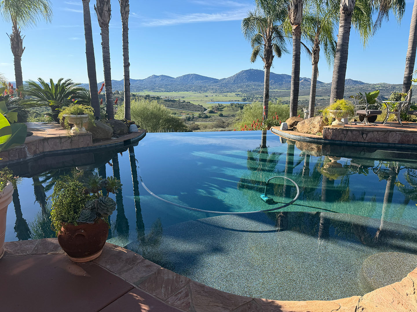 paradise-palms-and-plants-ramona-california